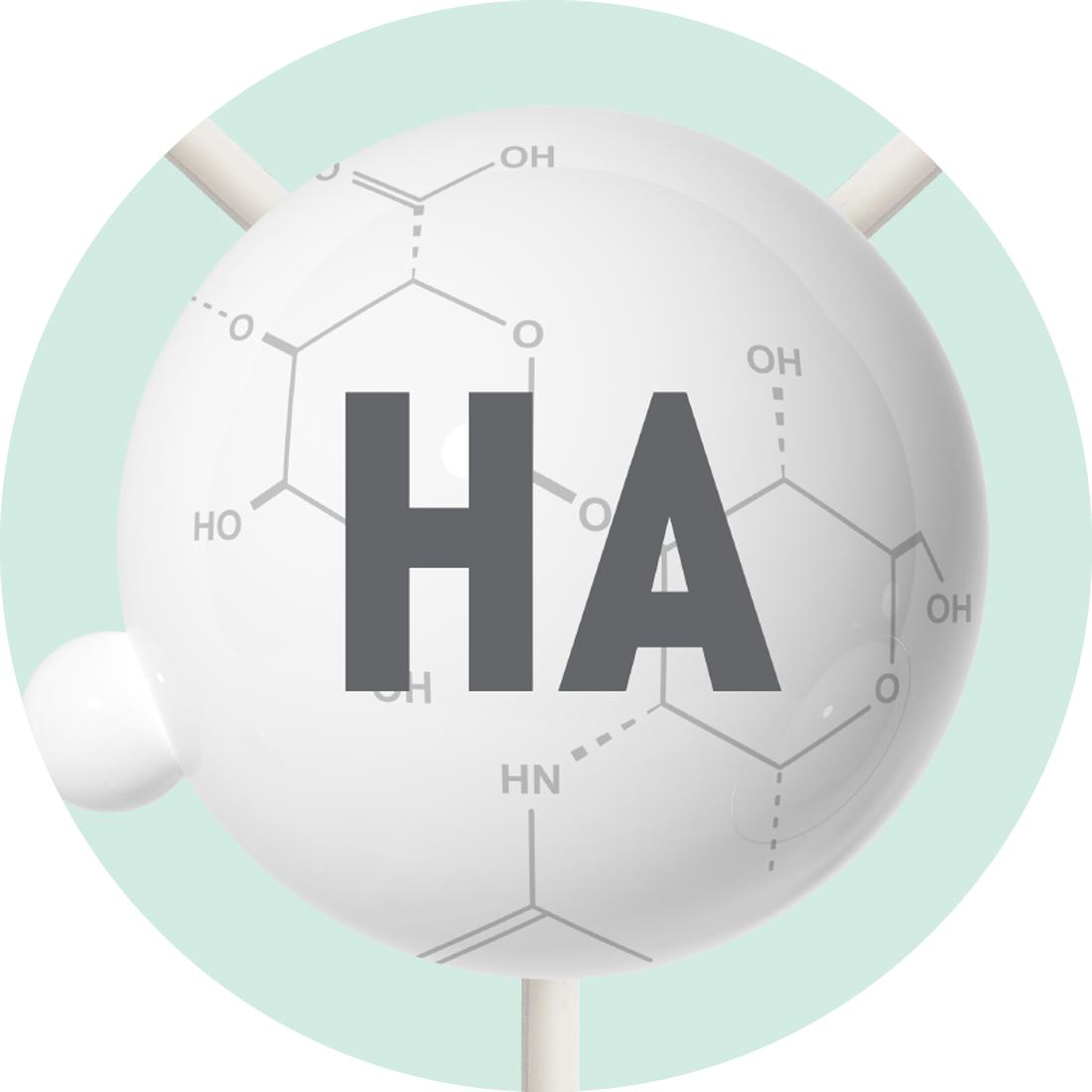 Hyaluronic acid 透明质酸